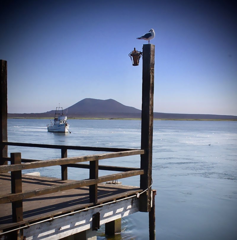 atractions, fishing, restaurant in san quintin